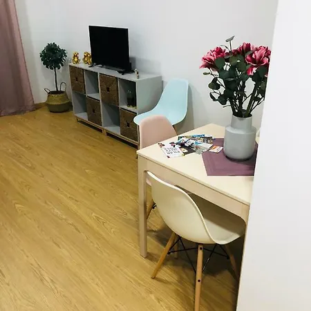 Lejlighed Apartamento Espoz Y Mina I
